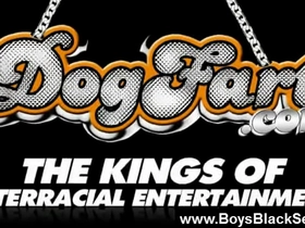 Black gay porn - black dudes gay hardcore fuck 12