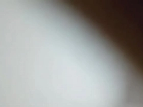 Bear sucking bbc
